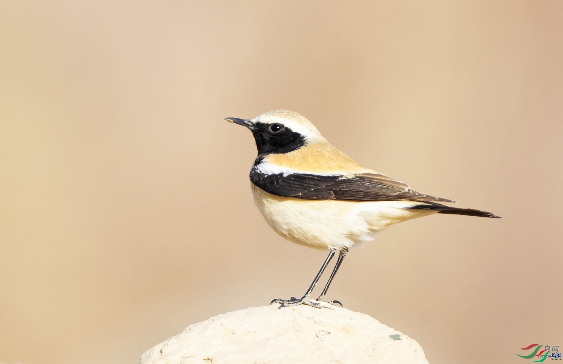 zhj926888  ��ʦ�����ڸ���ʡ��Ҵ�и�̨��.jpg