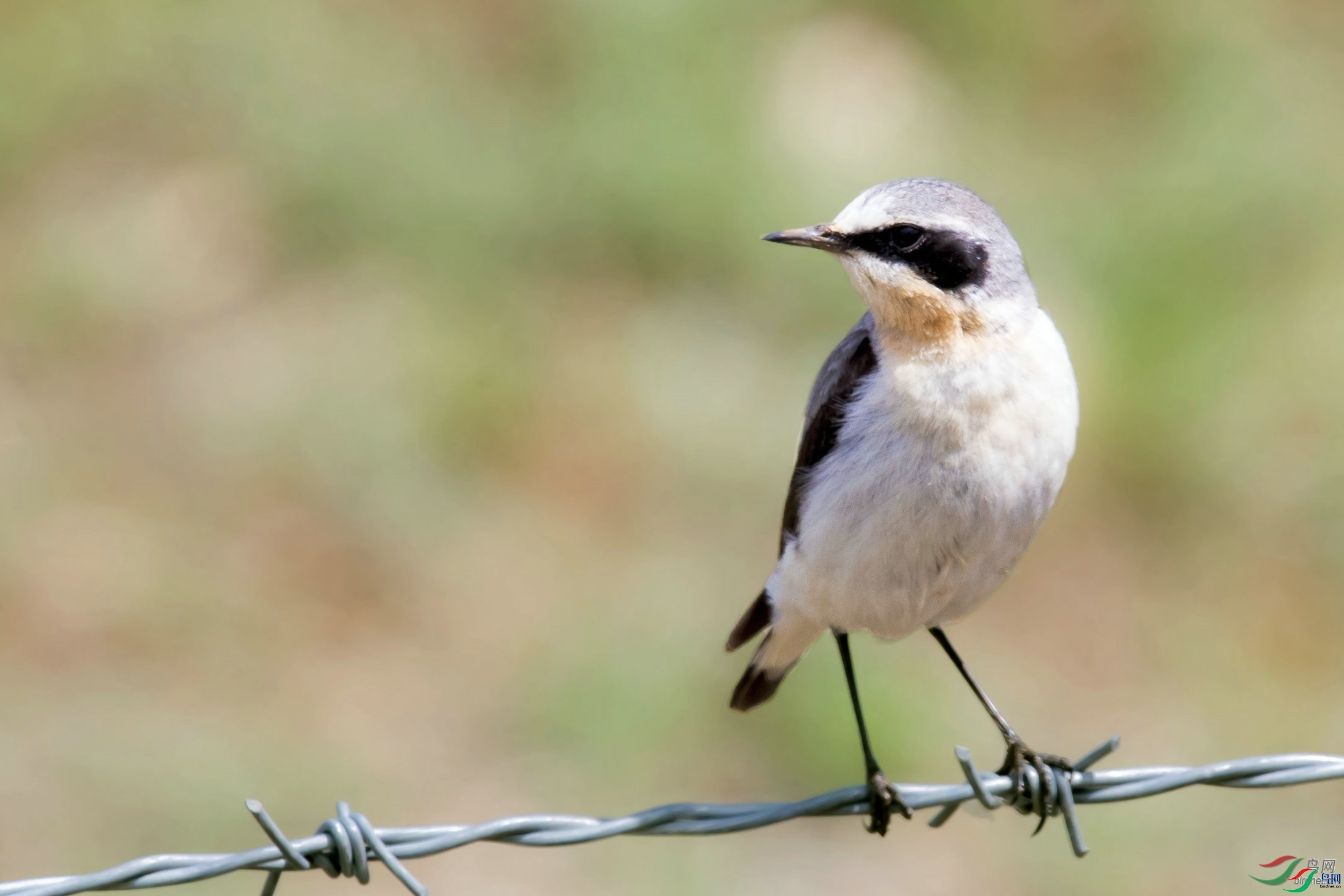 ҰȤ  ��ʦ����.jpg