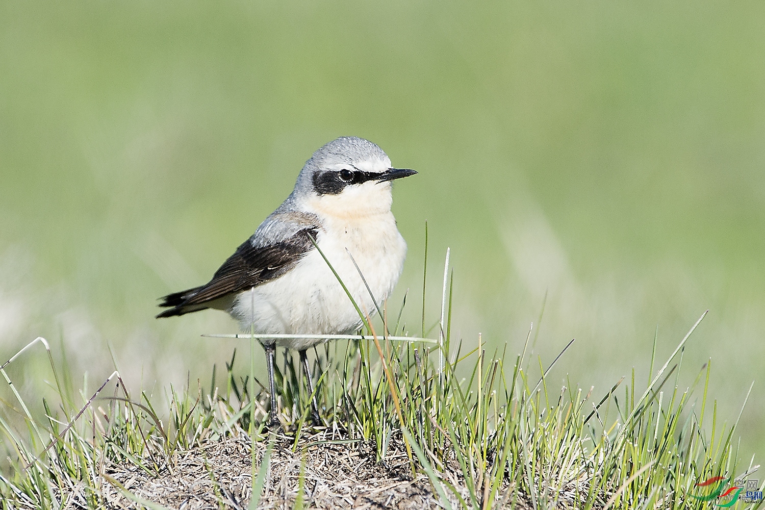 ��������  ��ʦ����.jpg