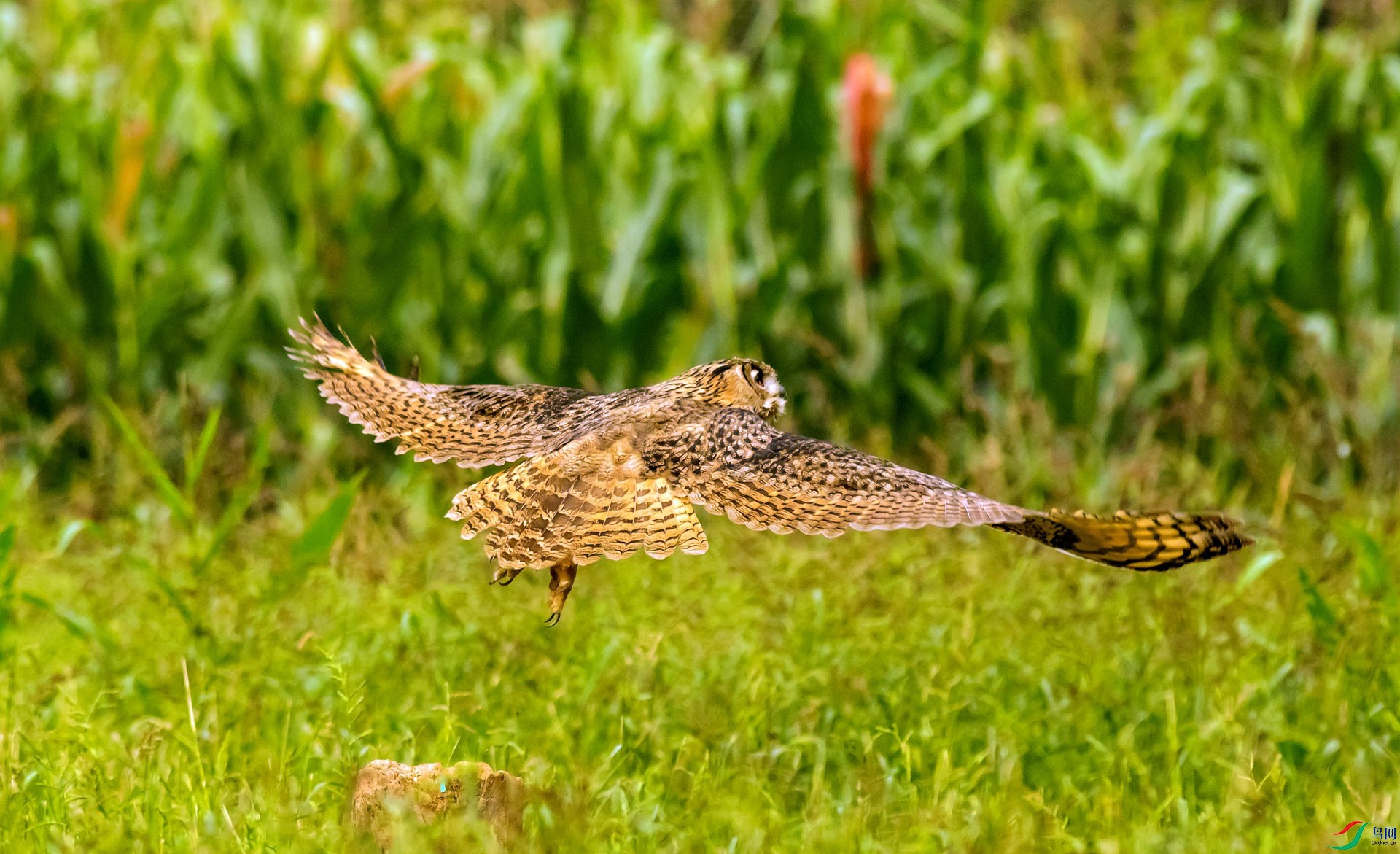0T6A4375_����.jpg