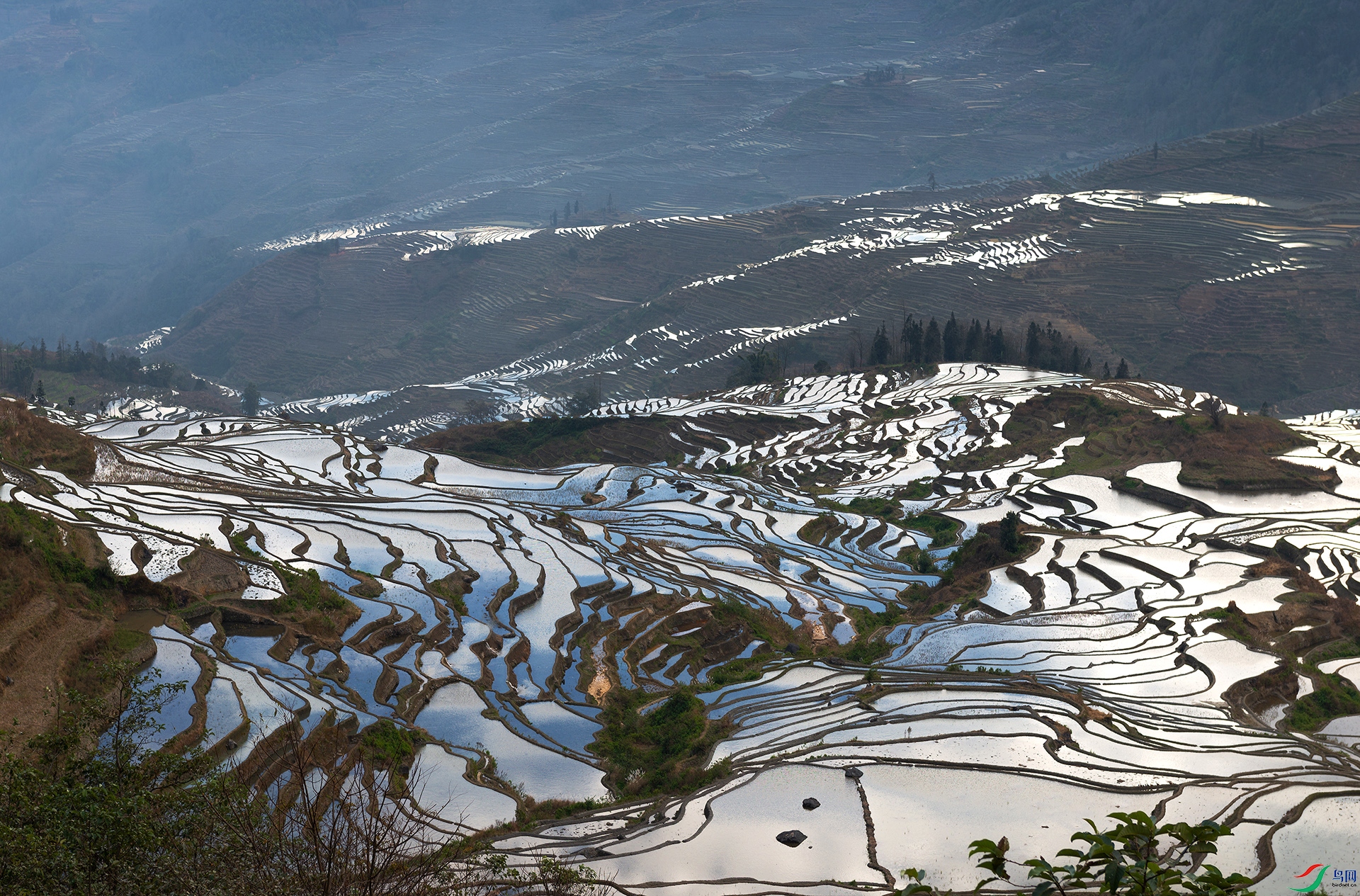 DSC_7809 ����.jpg