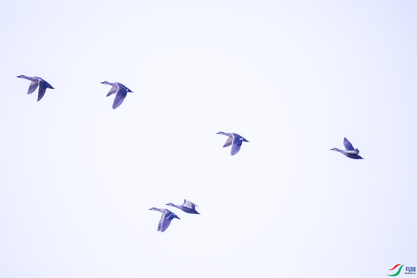 P28A7901.jpg