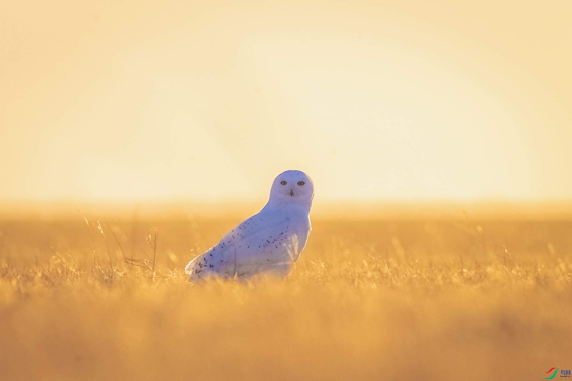 BP1I9098-2 ����.jpg