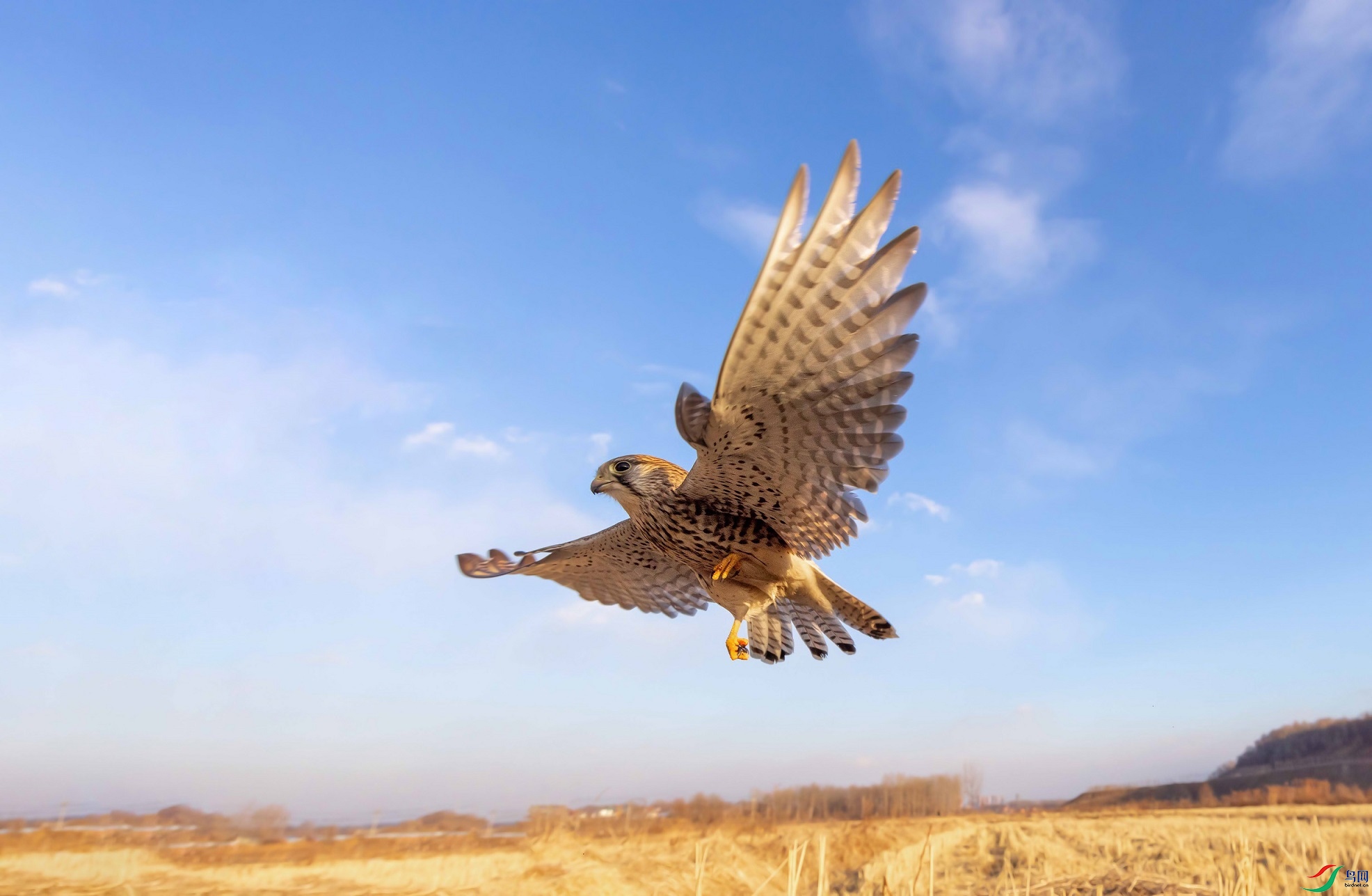 ��Ǿ�ͷ����