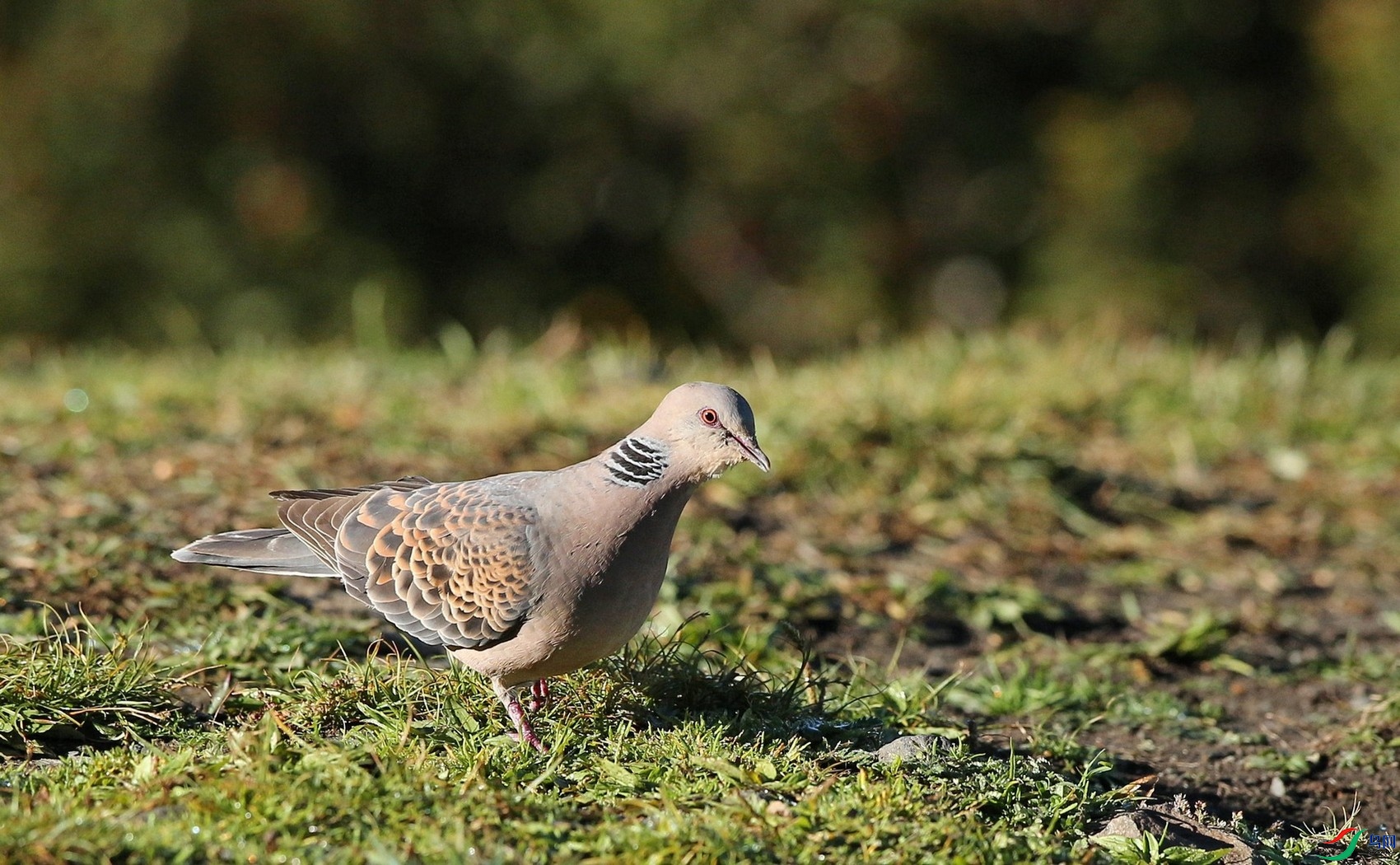 w161001���ؿ����� (85).jpg