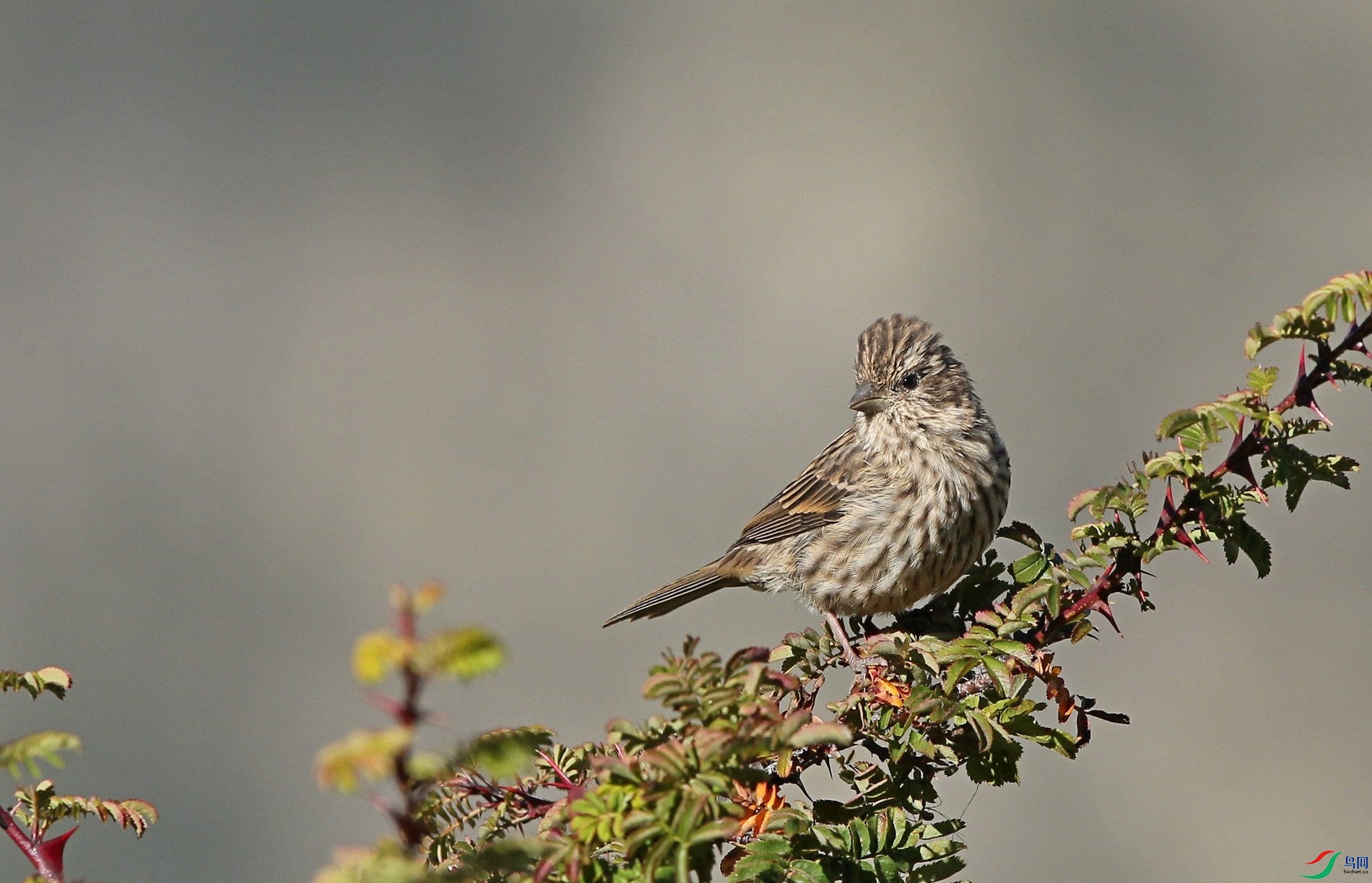 w161001���ؿ����� (105).jpg