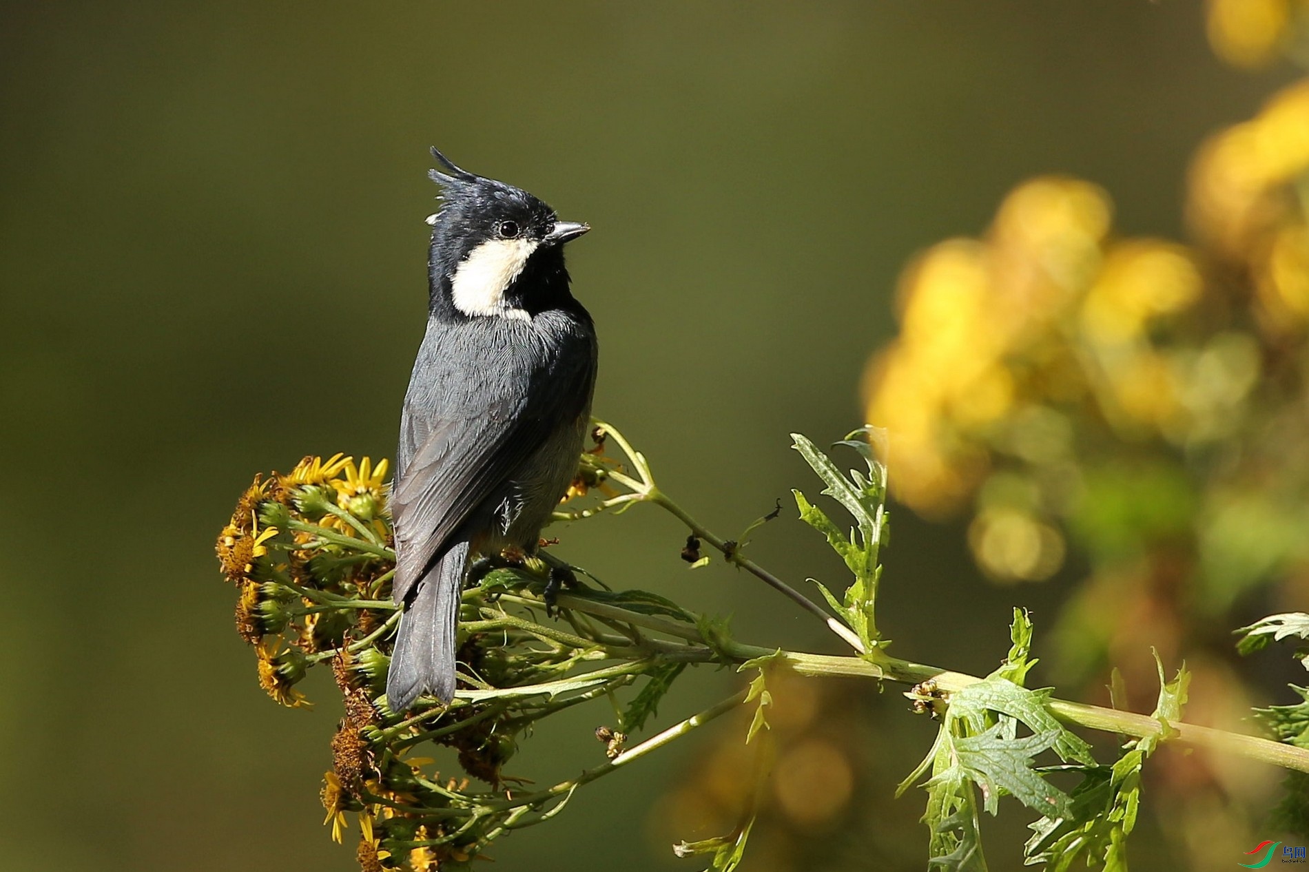 w161001���ؿ����� (148).jpg