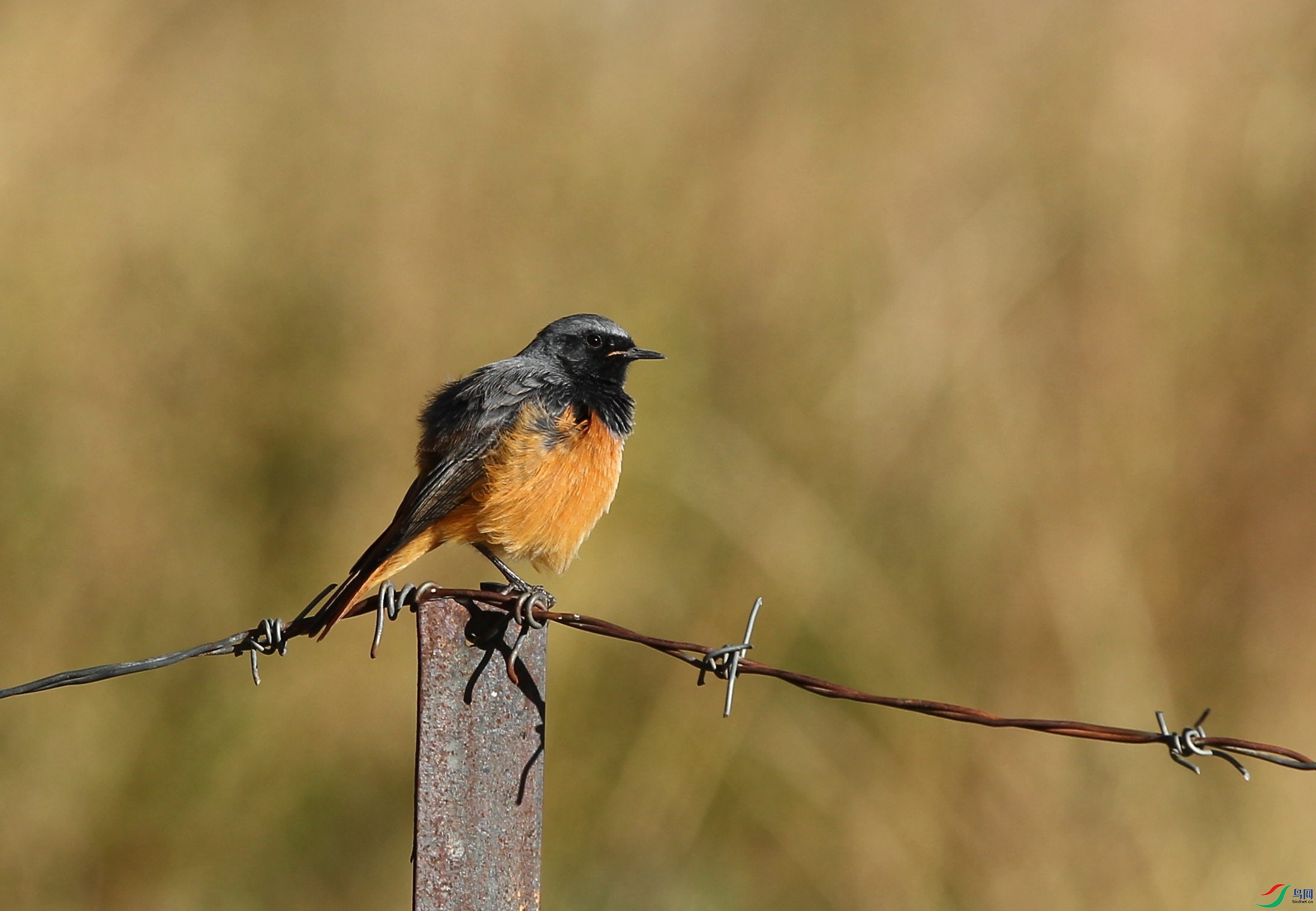 w161002���������� (226).jpg