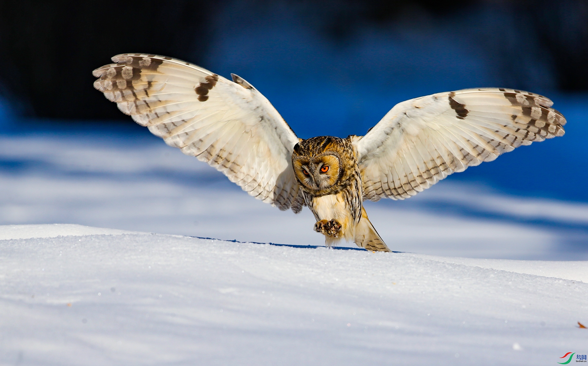 BE7W8122 - ����.JPG