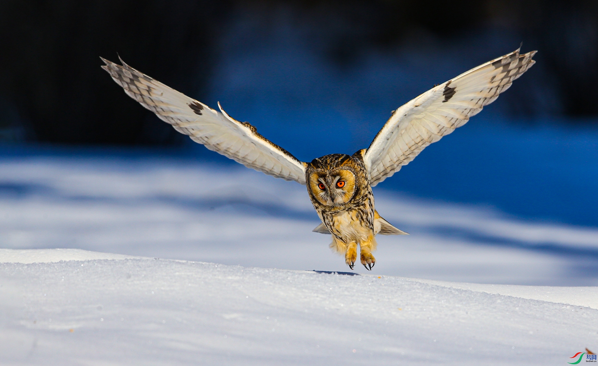 BE7W8121 - ����.JPG