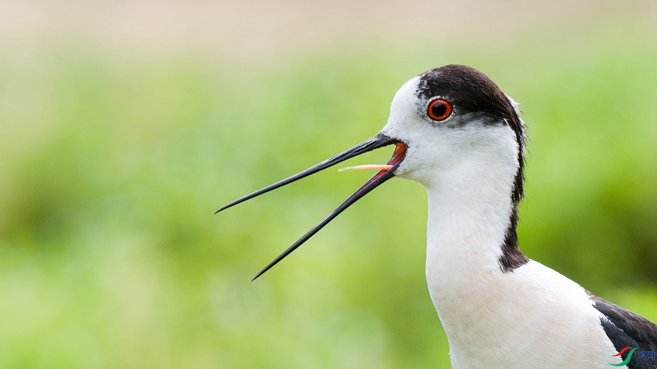 DSC_1414 - ����.jpg