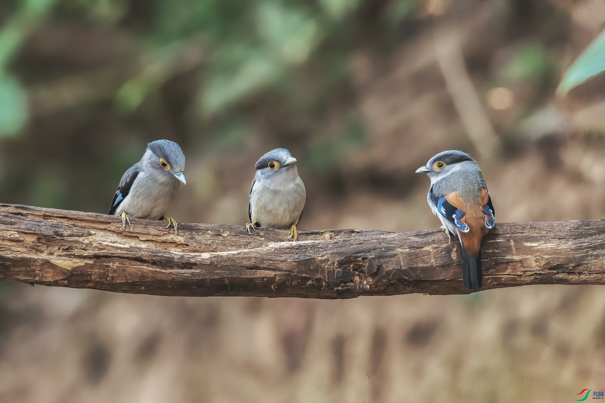 DSC_8795-1.jpg