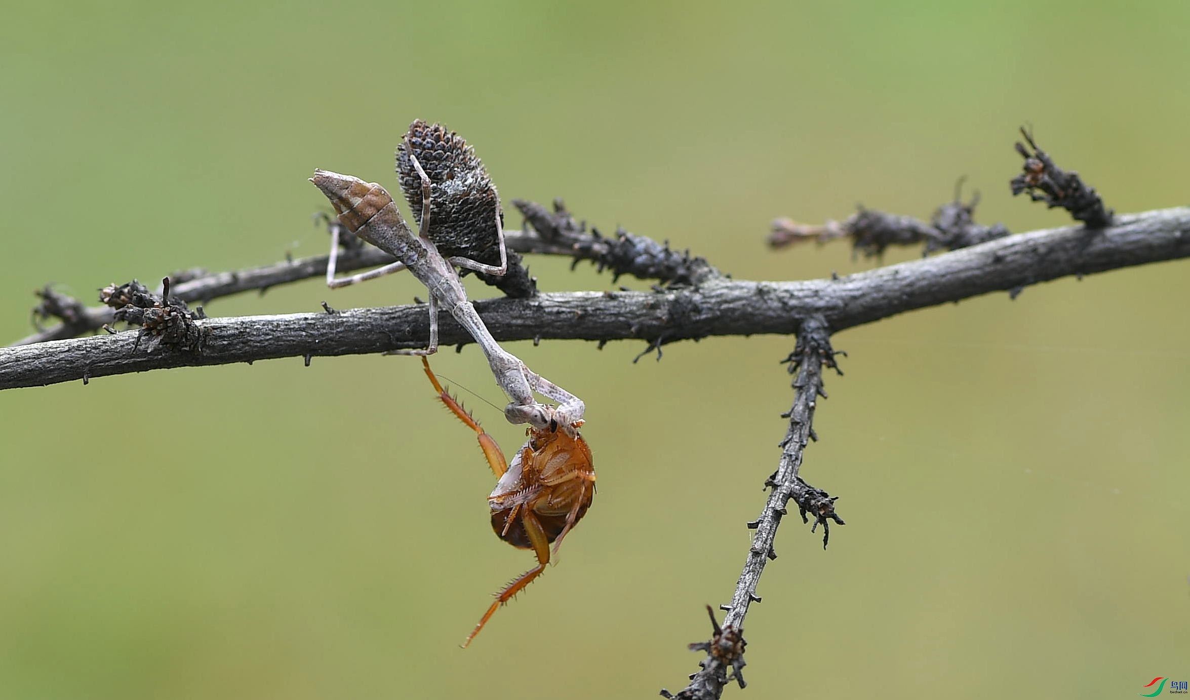 DSC_0578_����.jpg