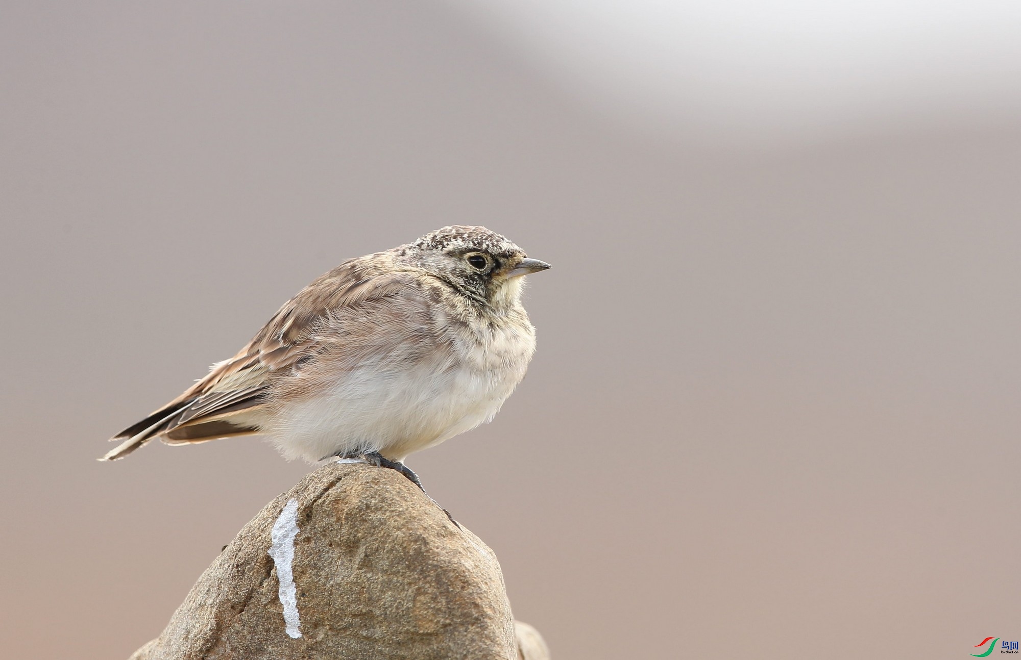 w160930���� (103).jpg