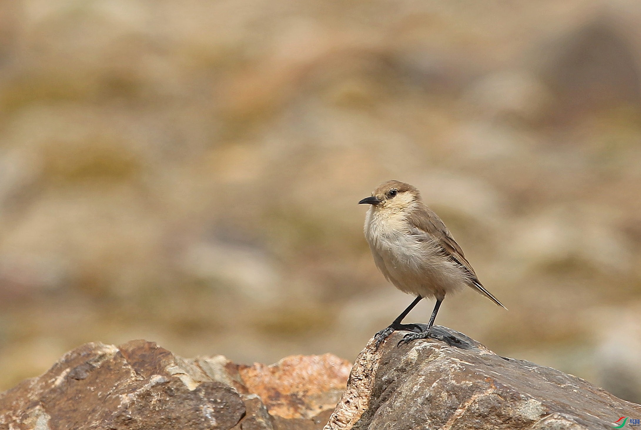 w160930���� (90).jpg