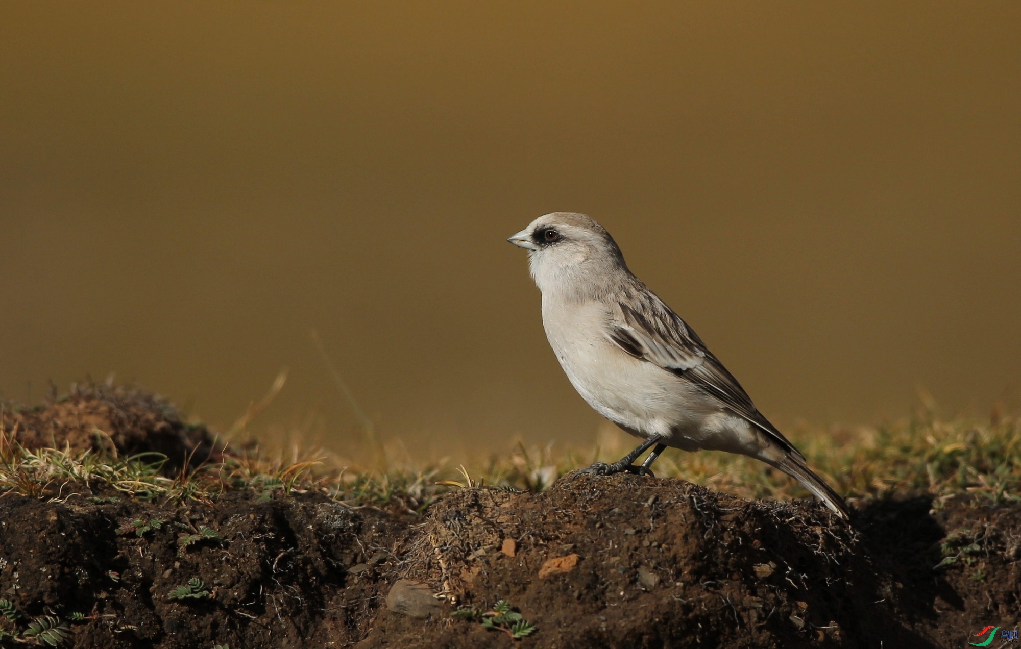 w161003���� (9).jpg