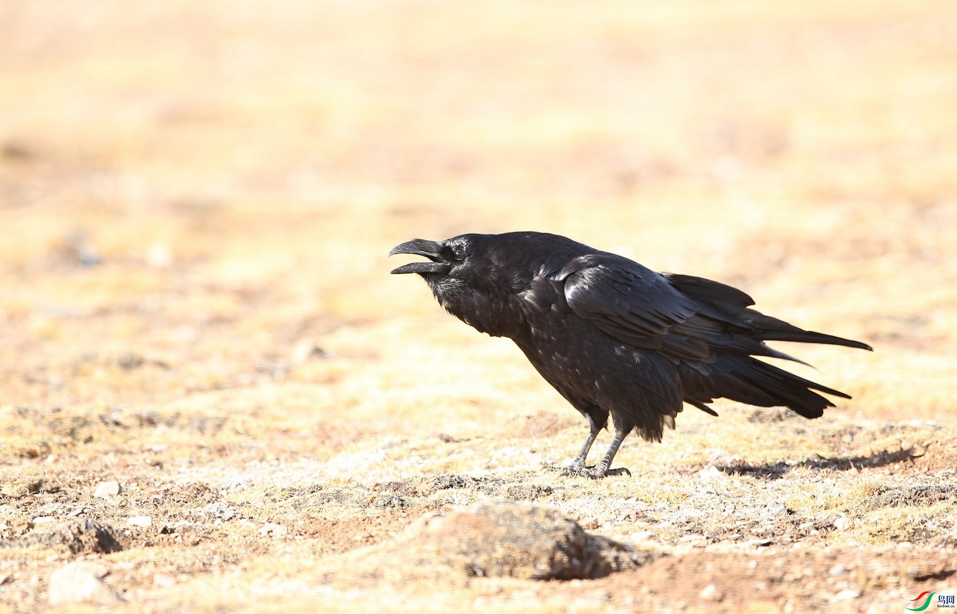 w161004���� (107).jpg