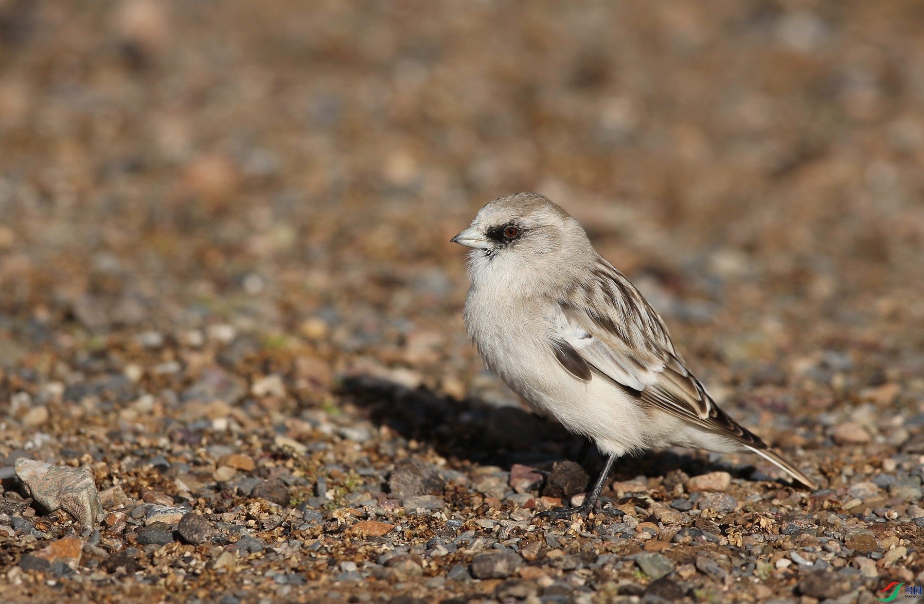 w161004���� (95).jpg