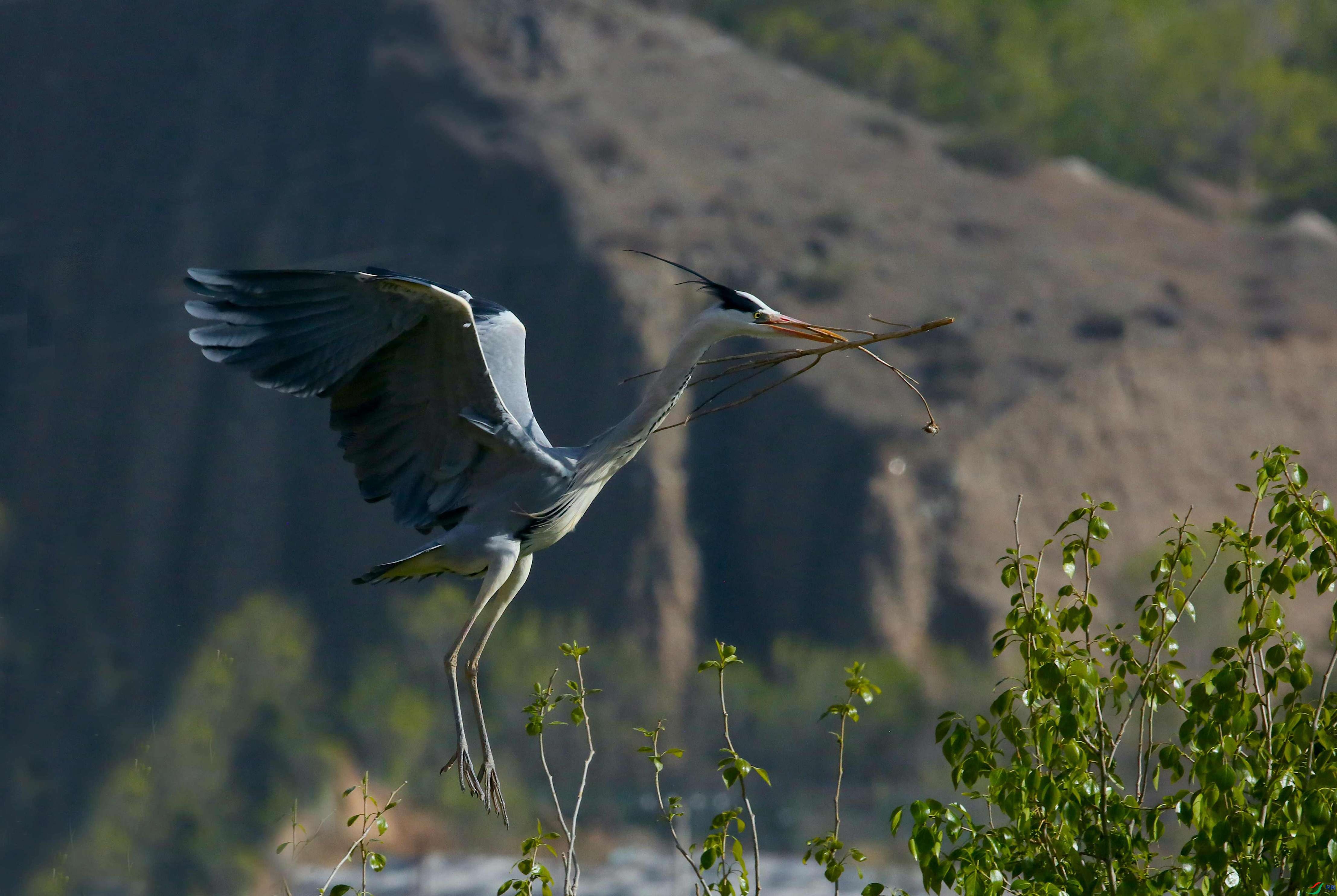 X39A9891 - ����.JPG