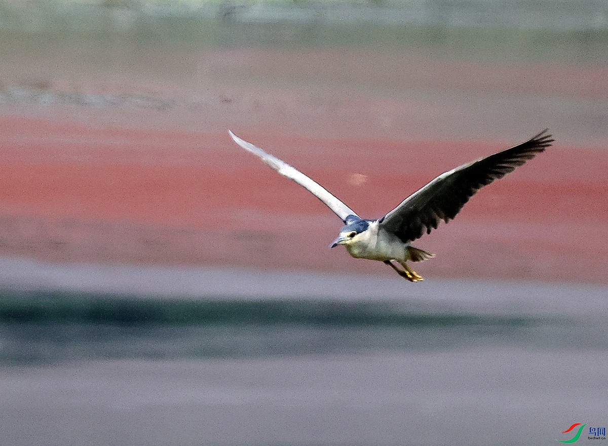 3A1981ҹ��-22.JPG