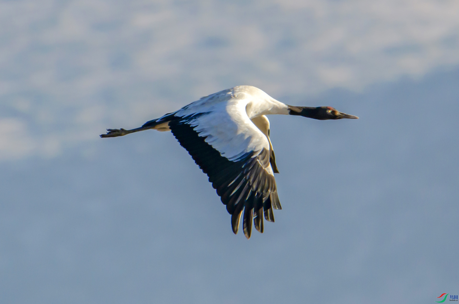 DSC_4011.jpg