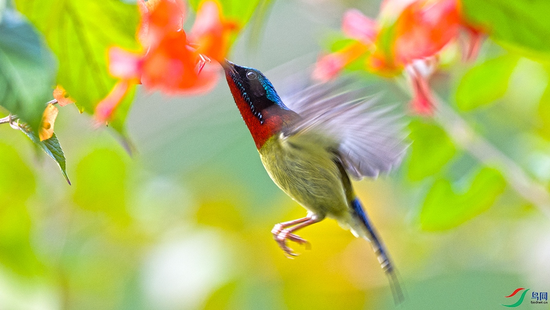��LPY_5316.jpg