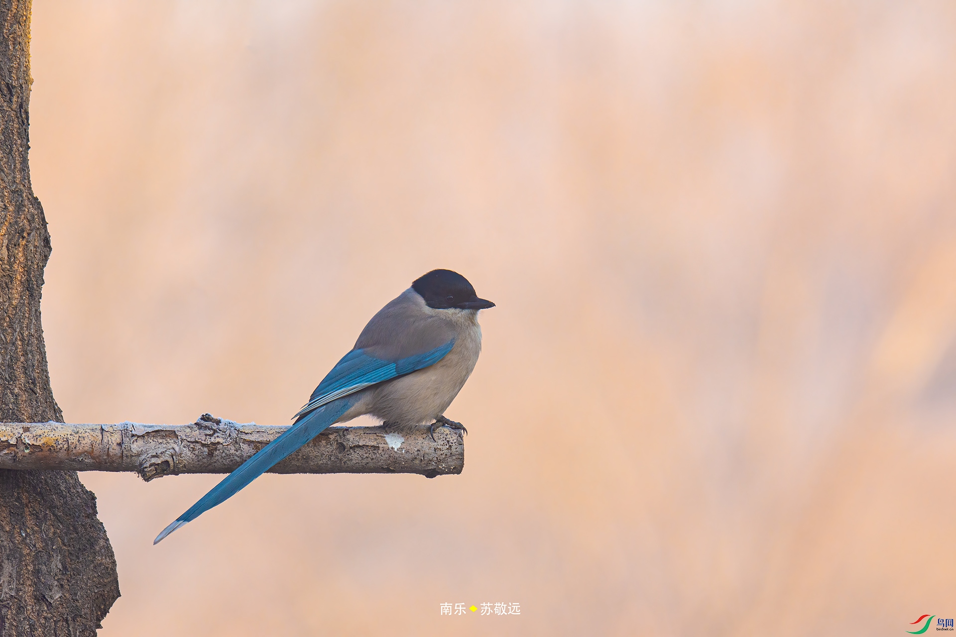 _DSC3932С.jpg
