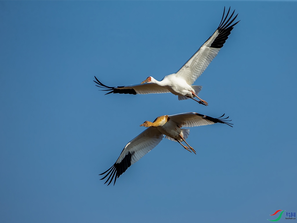7525-2.jpg