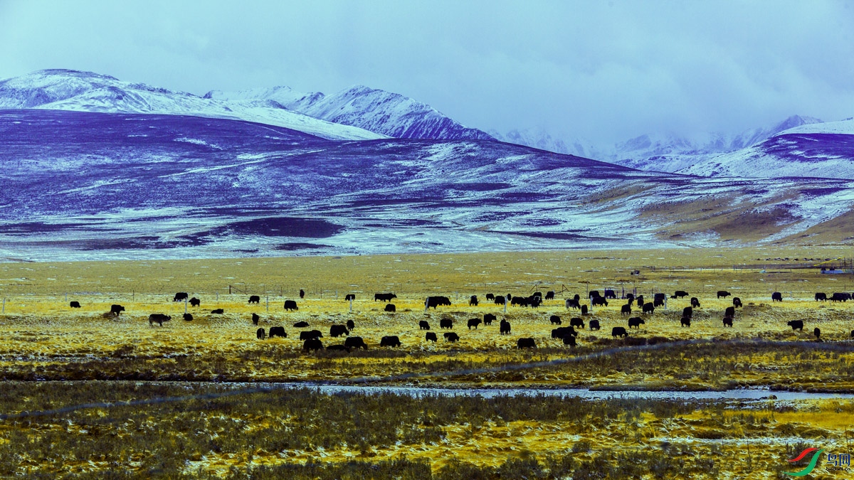 _Y5A0122318����·����ţ A.jpg