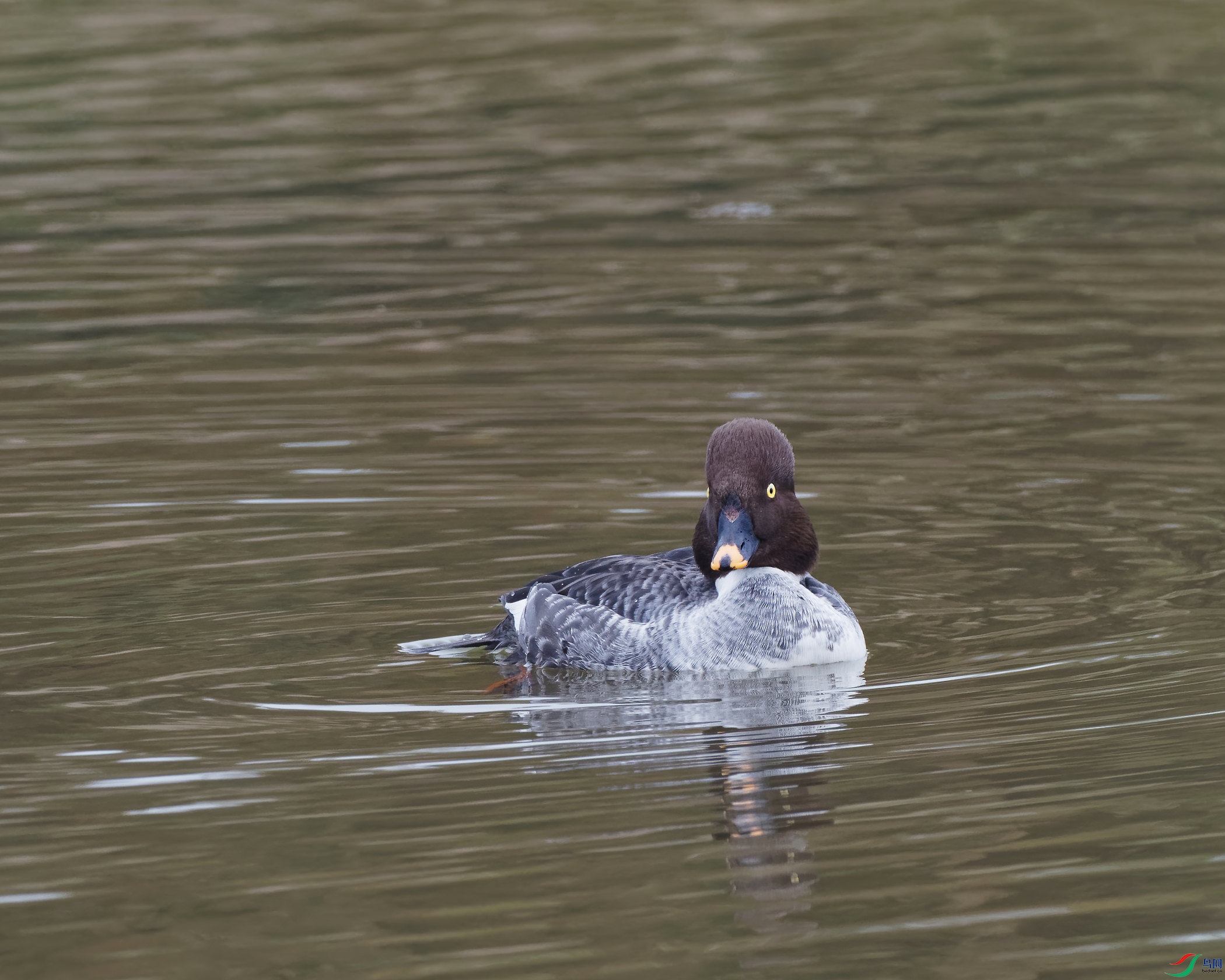P1140063_DxO-d2.jpg