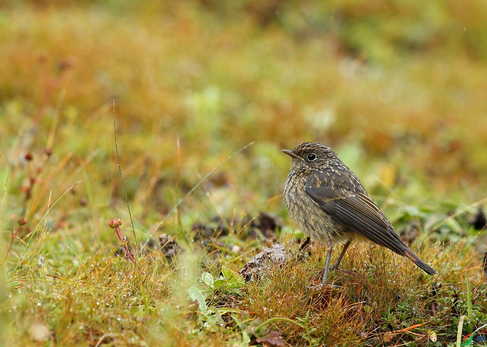 w160920�����׸��� (9).jpg