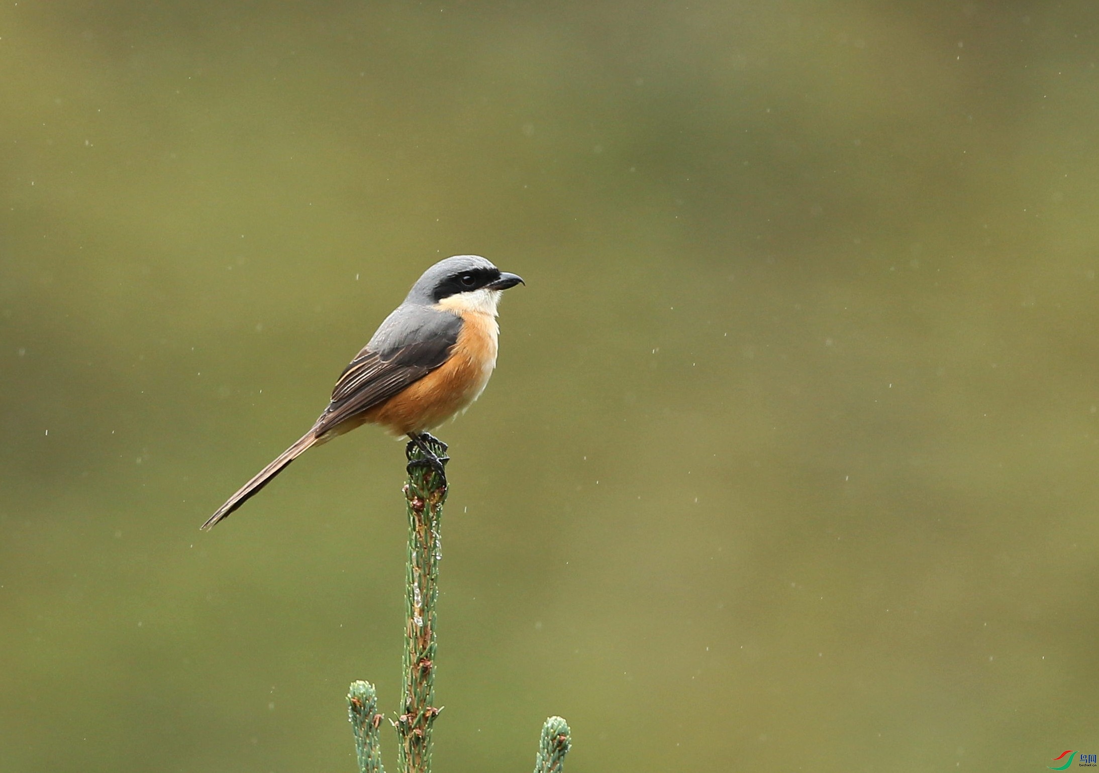 w160920�����׸��� (17).jpg