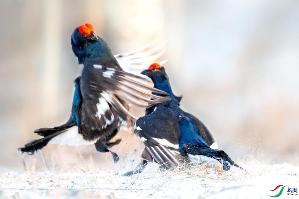 ����ÿ���