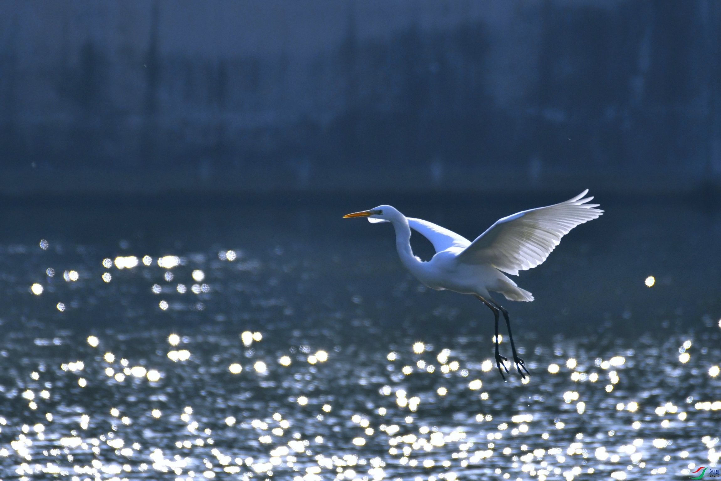 _DSC9073.JPG