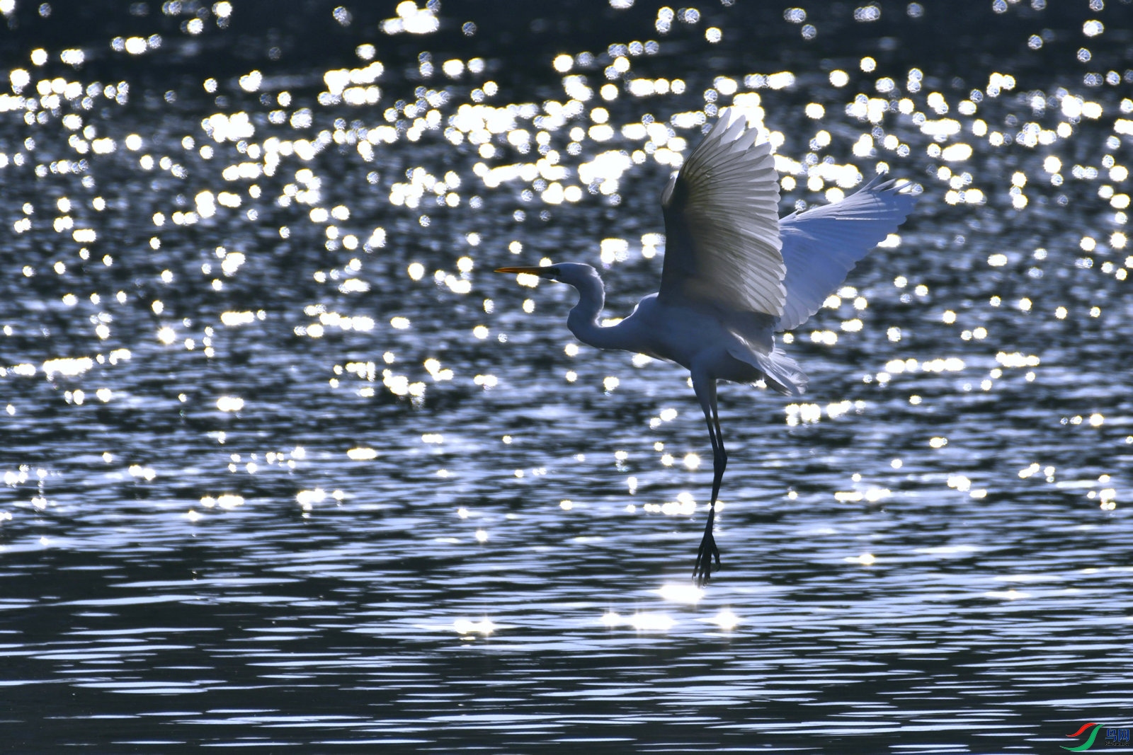 _DSC9096.JPG