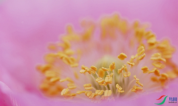 _DSC4328 - ����.JPG