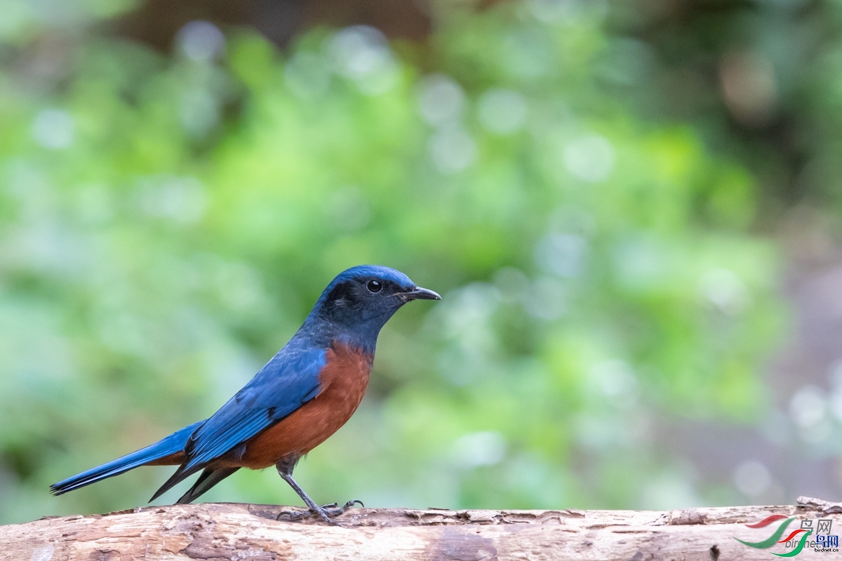 ����  ��ʦ����������ʡ��ɽ��.jpg