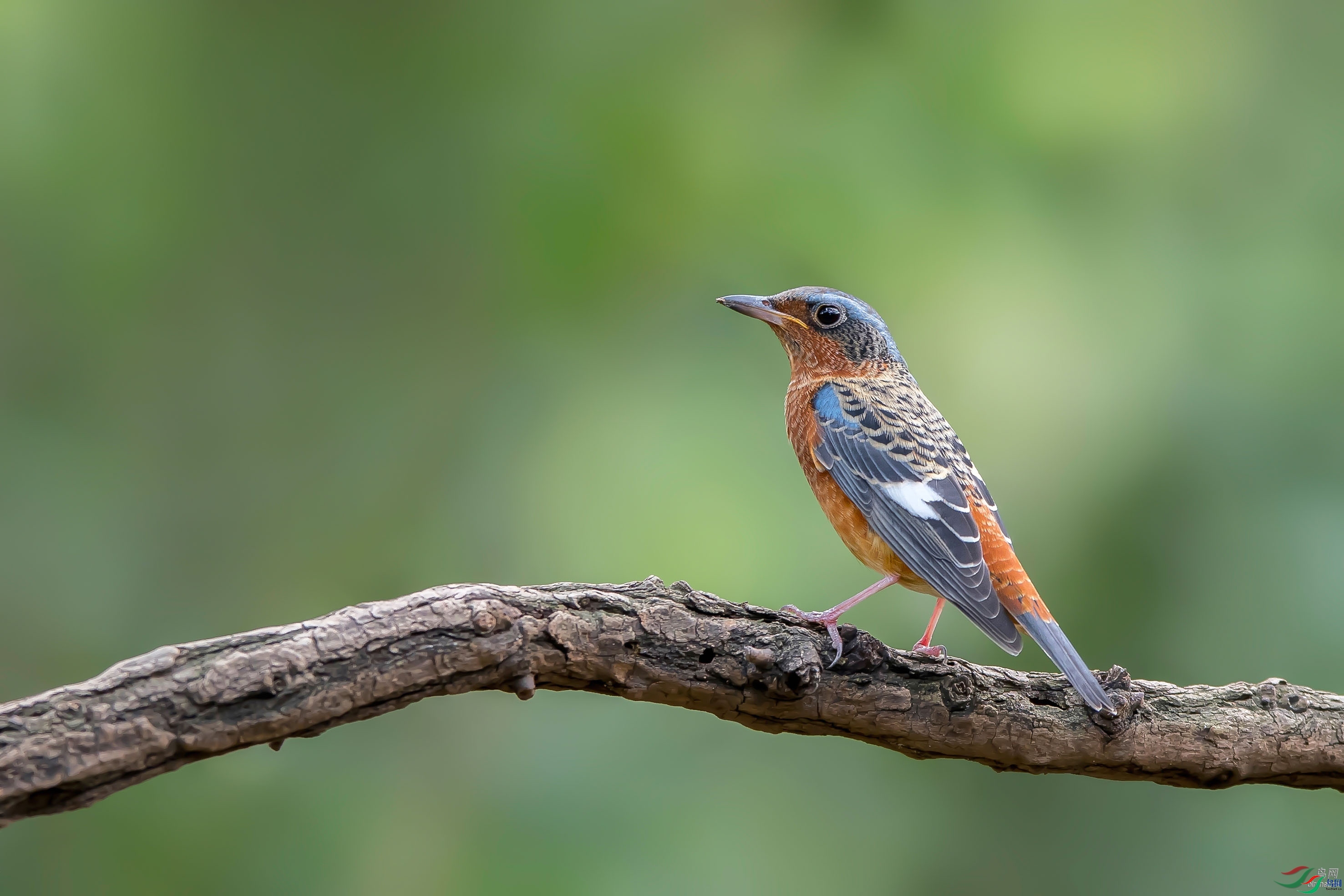 768jianmei  ��ʦ�����ڽ���ʡ������.jpg