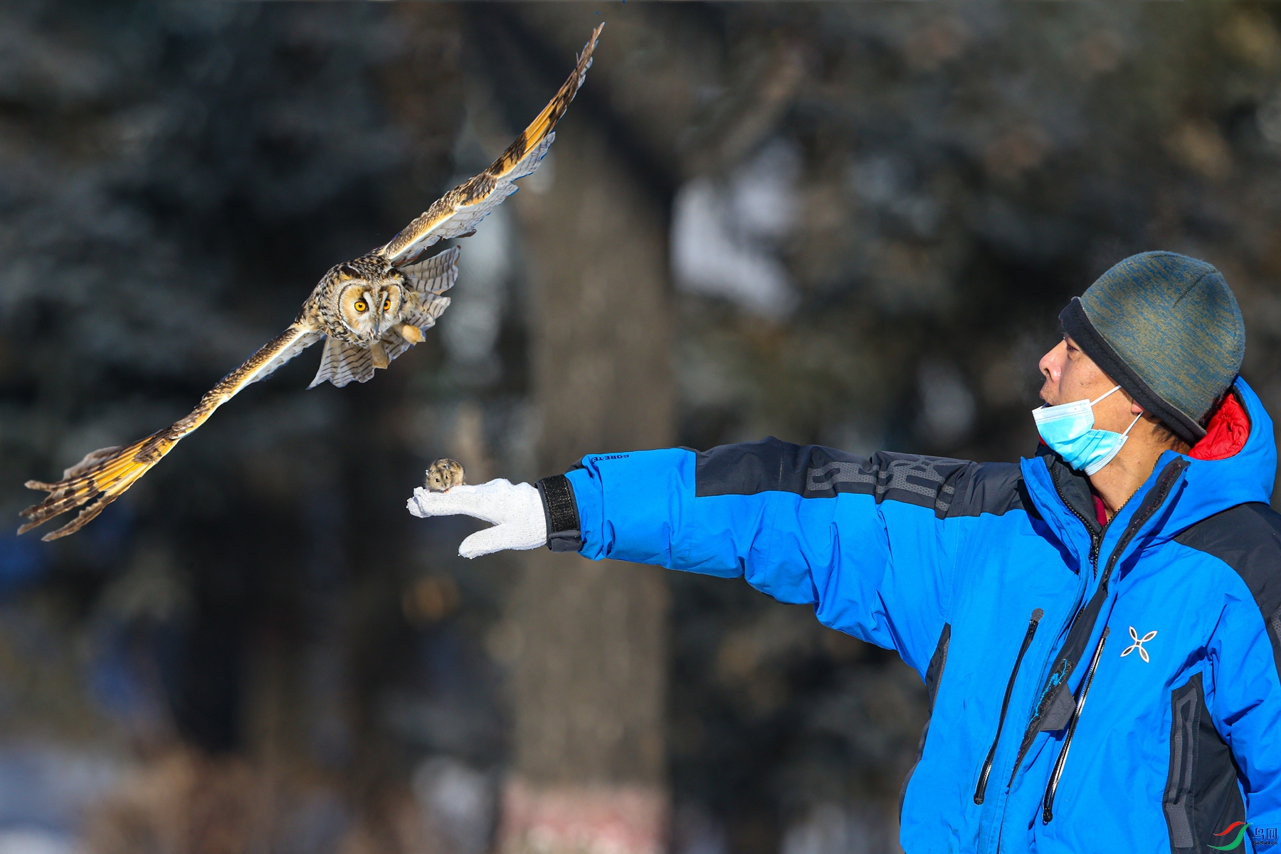 BE7W8788��г - ����.jpg