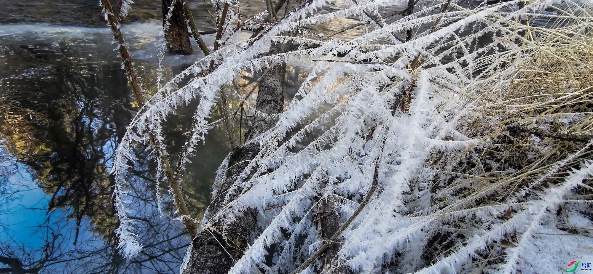 ����СϪ����