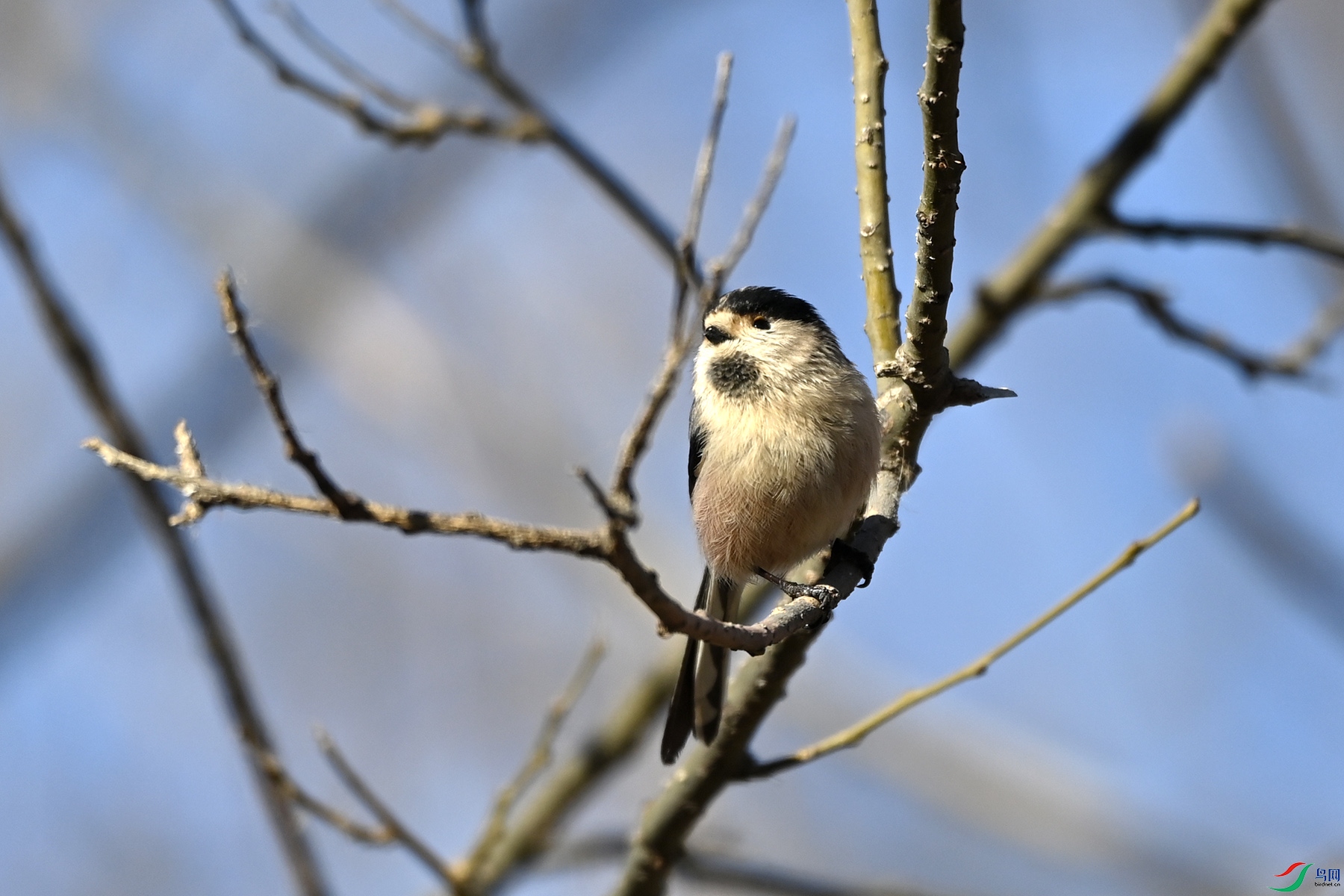 DSC_5523.jpg