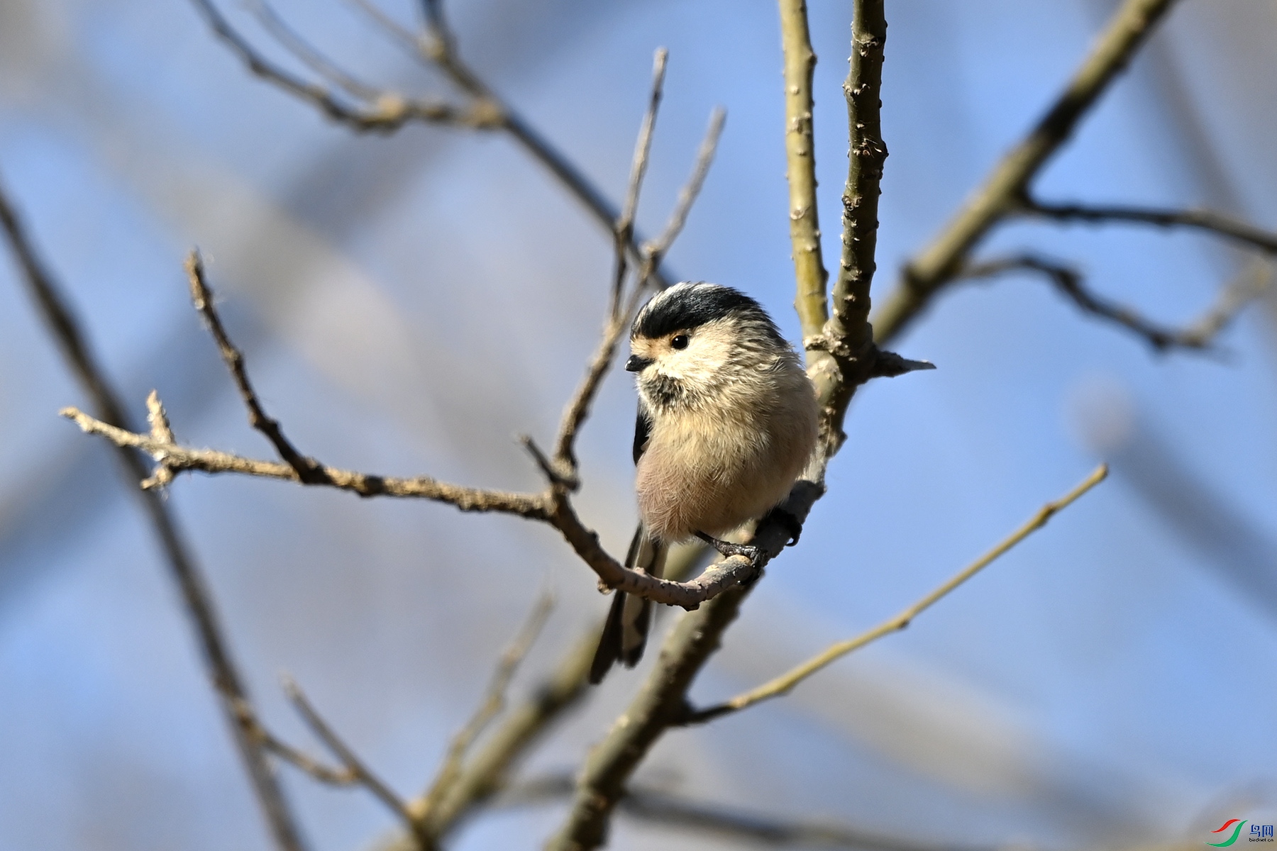 DSC_5522.jpg
