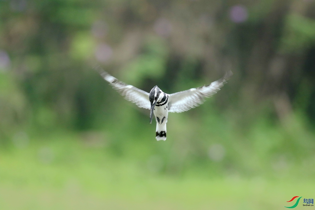 367A3722 (2)_����.jpg