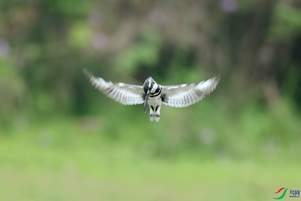 367A3723 (2)_����.jpg