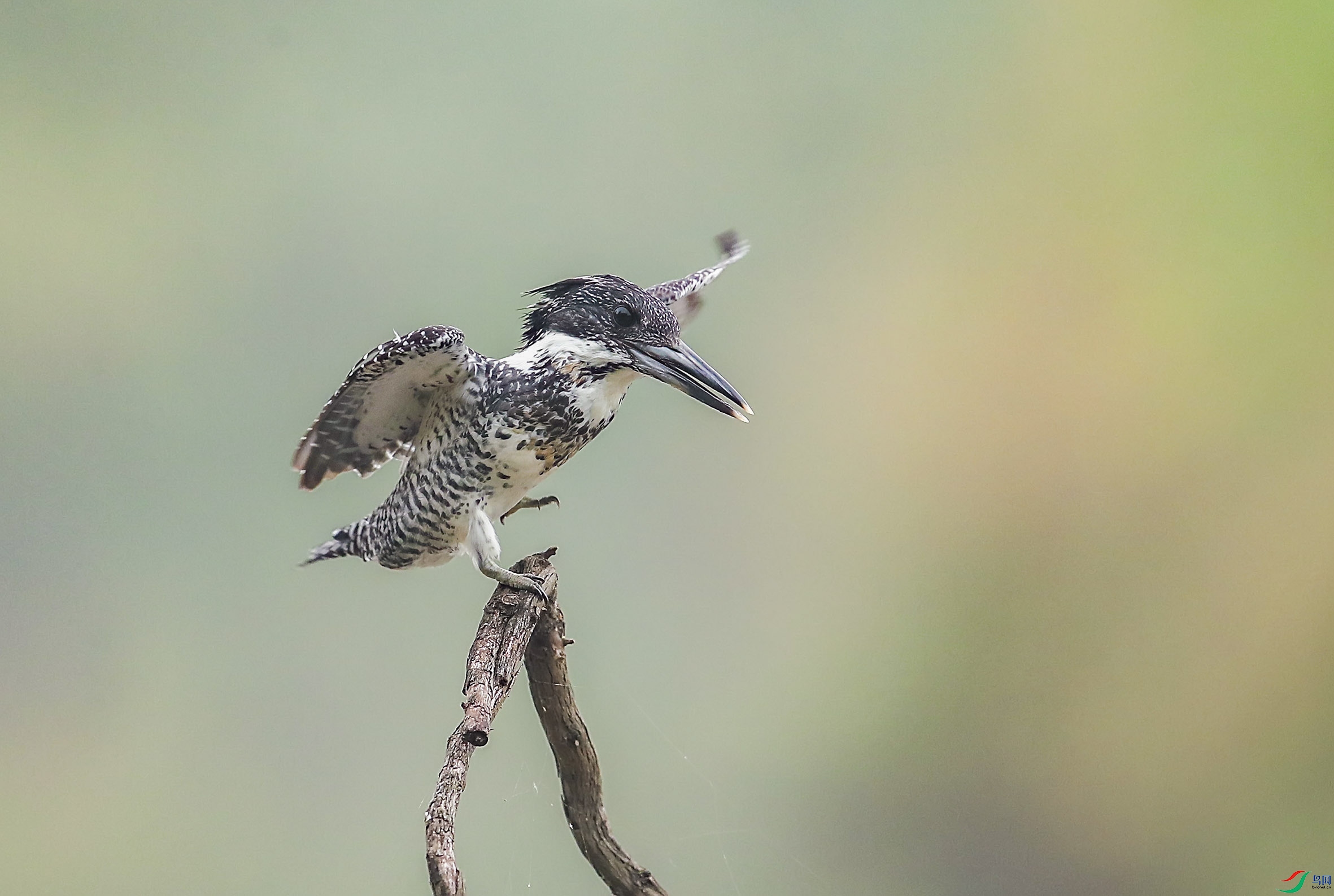 BT1I0721-.jpg