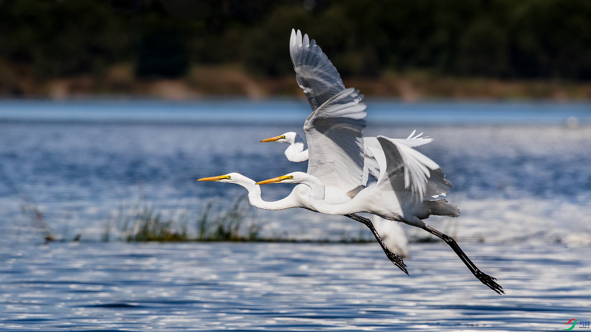 DF7A0248_20220116-1.jpg