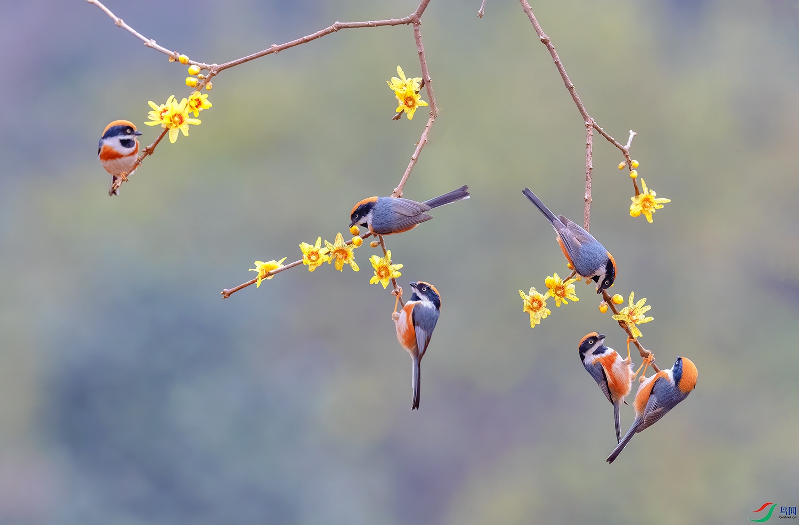 AC0I7201 ����.jpg3.jpg