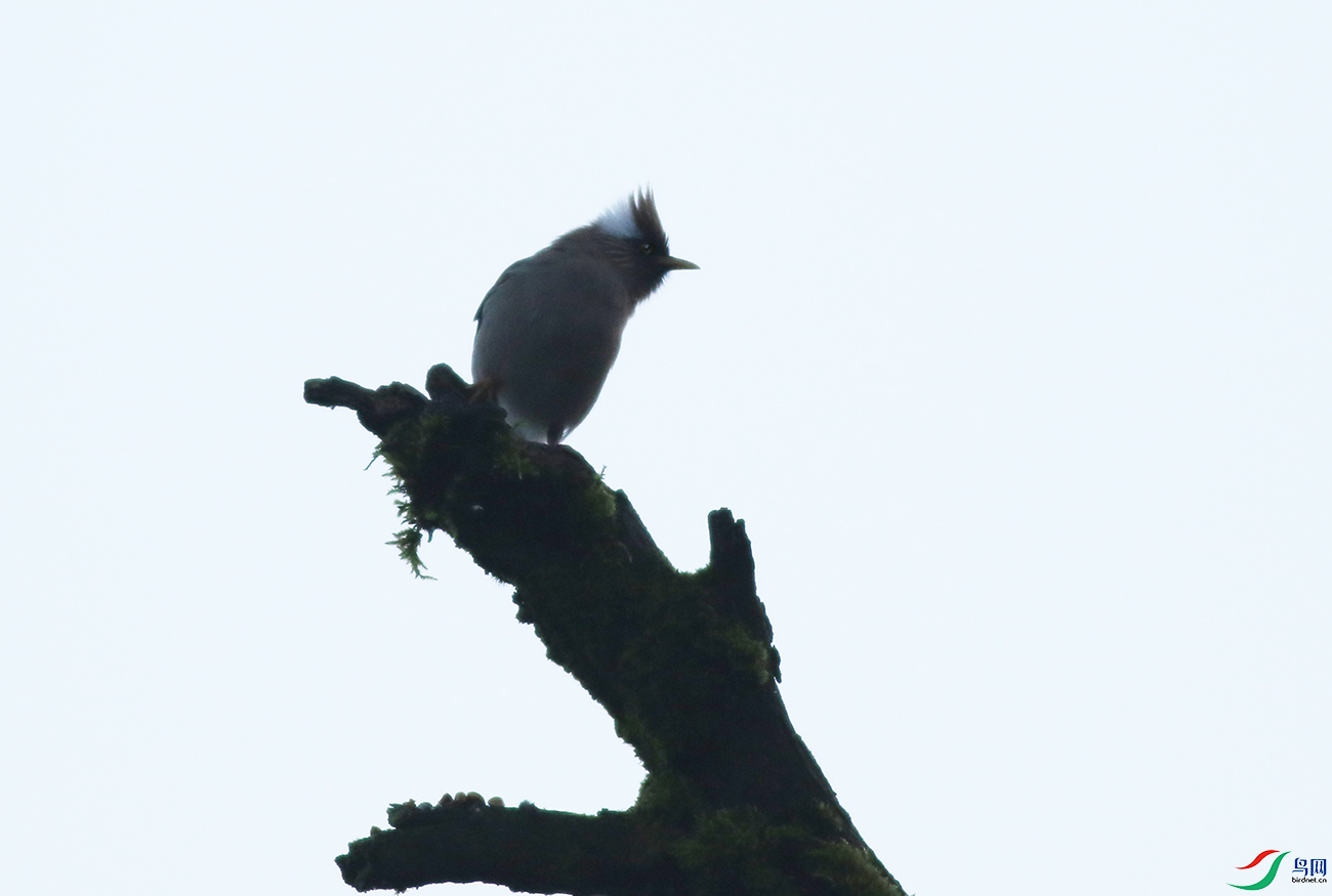 77.jpg