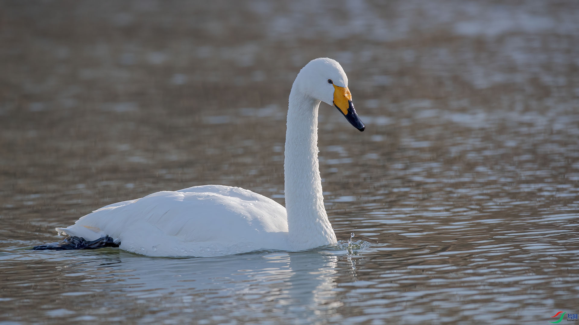 1DX_0430 ����.jpg