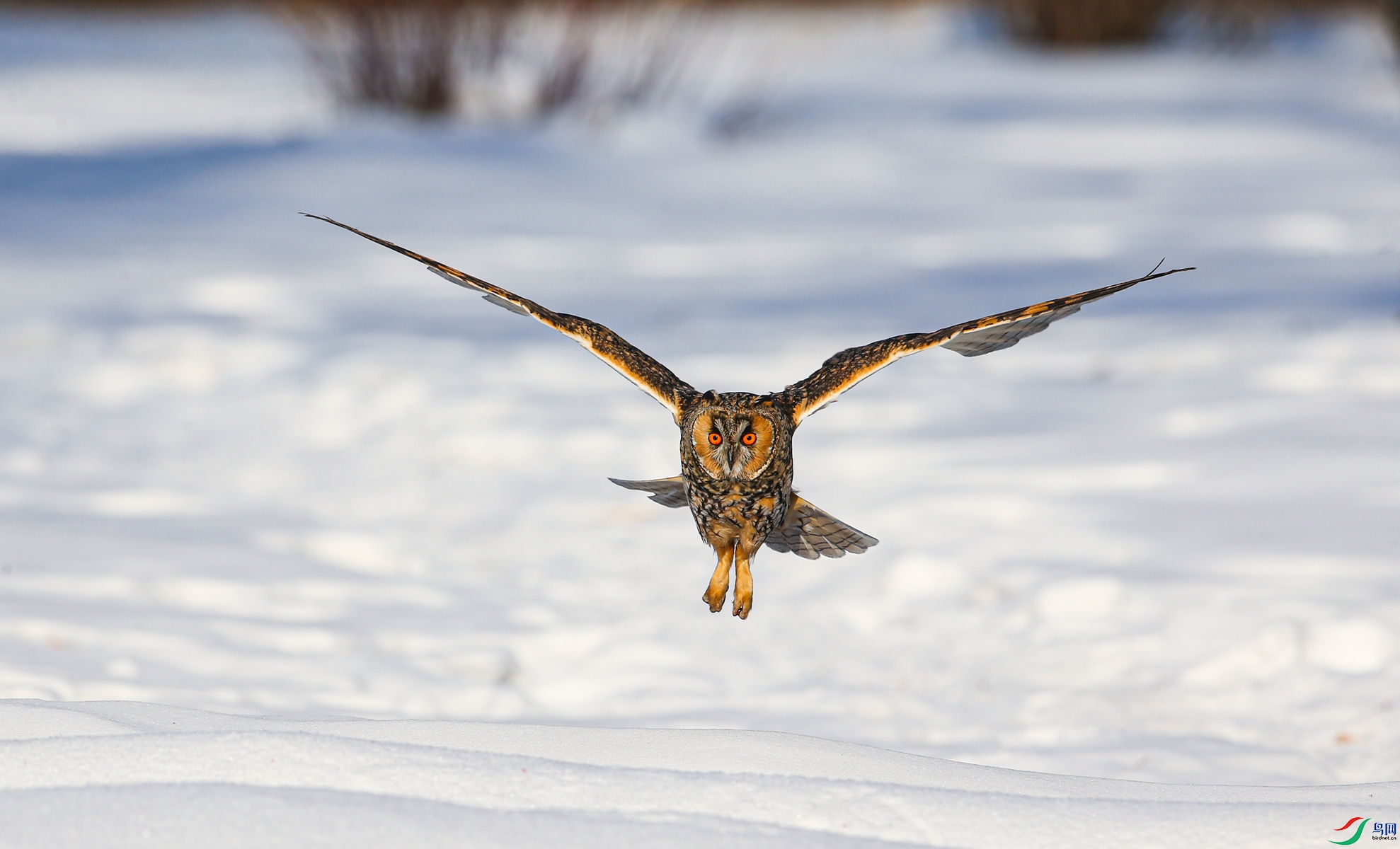 BE7W8893 - ����.JPG